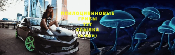 бутират Гусь-Хрустальный