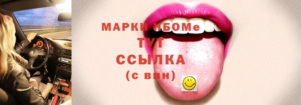 винт Елизово