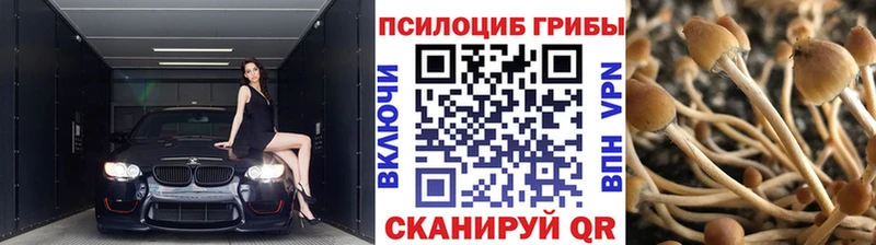 Галлюциногенные грибы ЛСД  Донской 