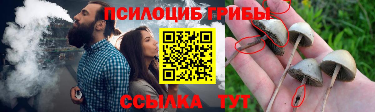 Донской  Галлюциногенные грибы Psilocybe  Вход с VPN 